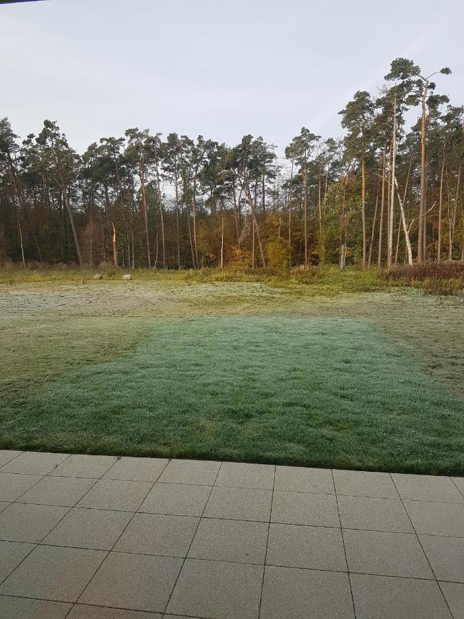 Sonnenstrahl Im Kuestenwald Gelbensande Екстер'єр фото
